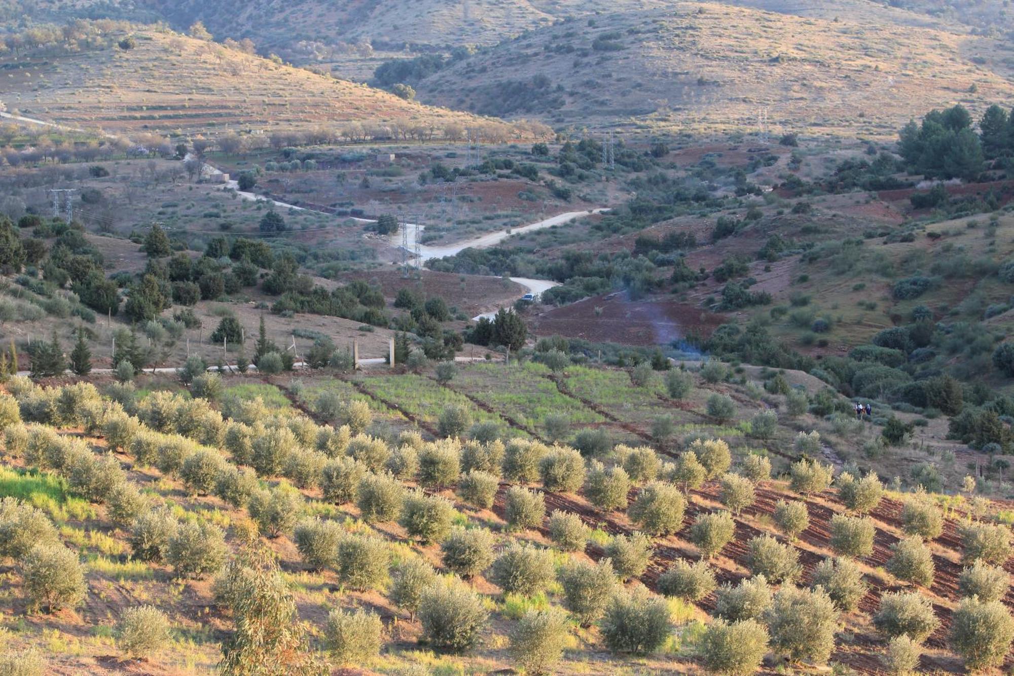 La Belle Vue Elmazini Διαμέρισμα Demnat Εξωτερικό φωτογραφία